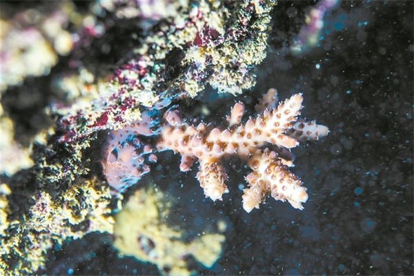 1629083689765400.jpg 2.jpg