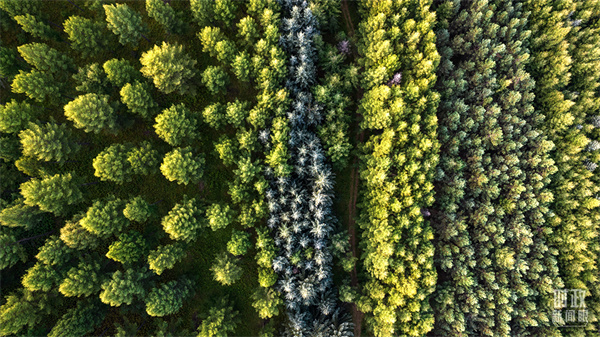 1629876216406475.jpg 03.jpg