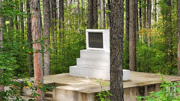 1629876254554128.jpg 04.jpg