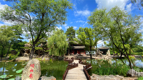 1629876339572816.jpg 05.jpg