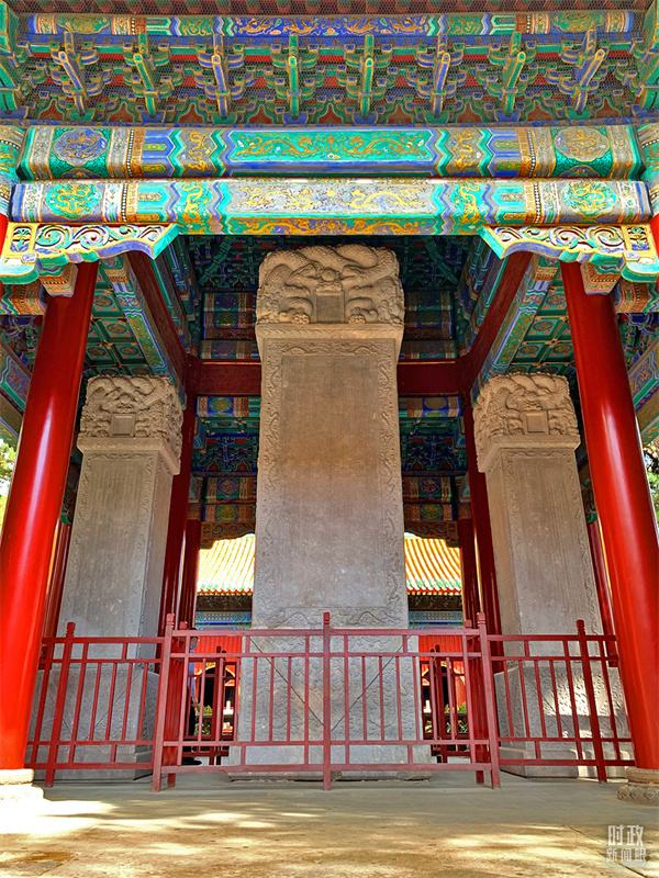 1629876384664650.jpg 07.jpg