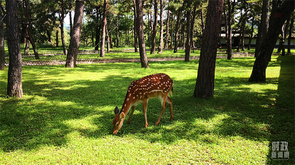 1629876438310724.jpg 09.jpg