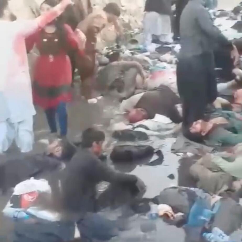 1630082029886449.jpg 1630082029886449.jpg