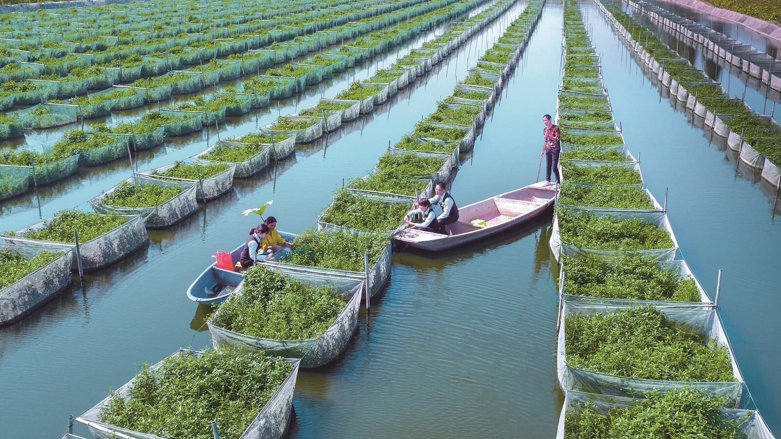 1630461432176076.jpg 1630461432176076.jpg