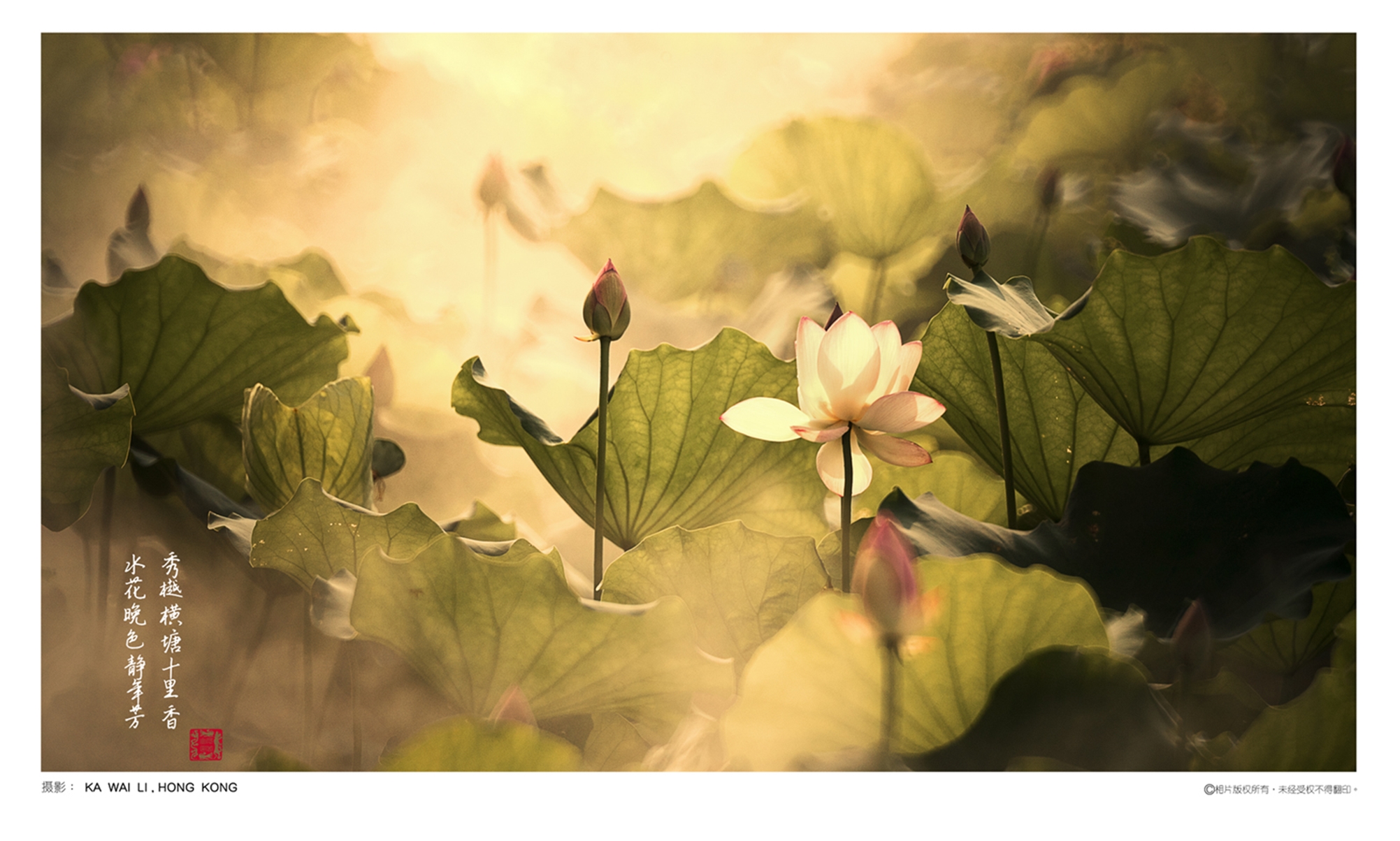 1630501375618533.jpg 1630501375618533.jpg