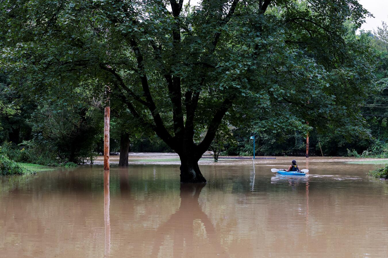 1630557285325798.jpg 1630557285325798.jpg