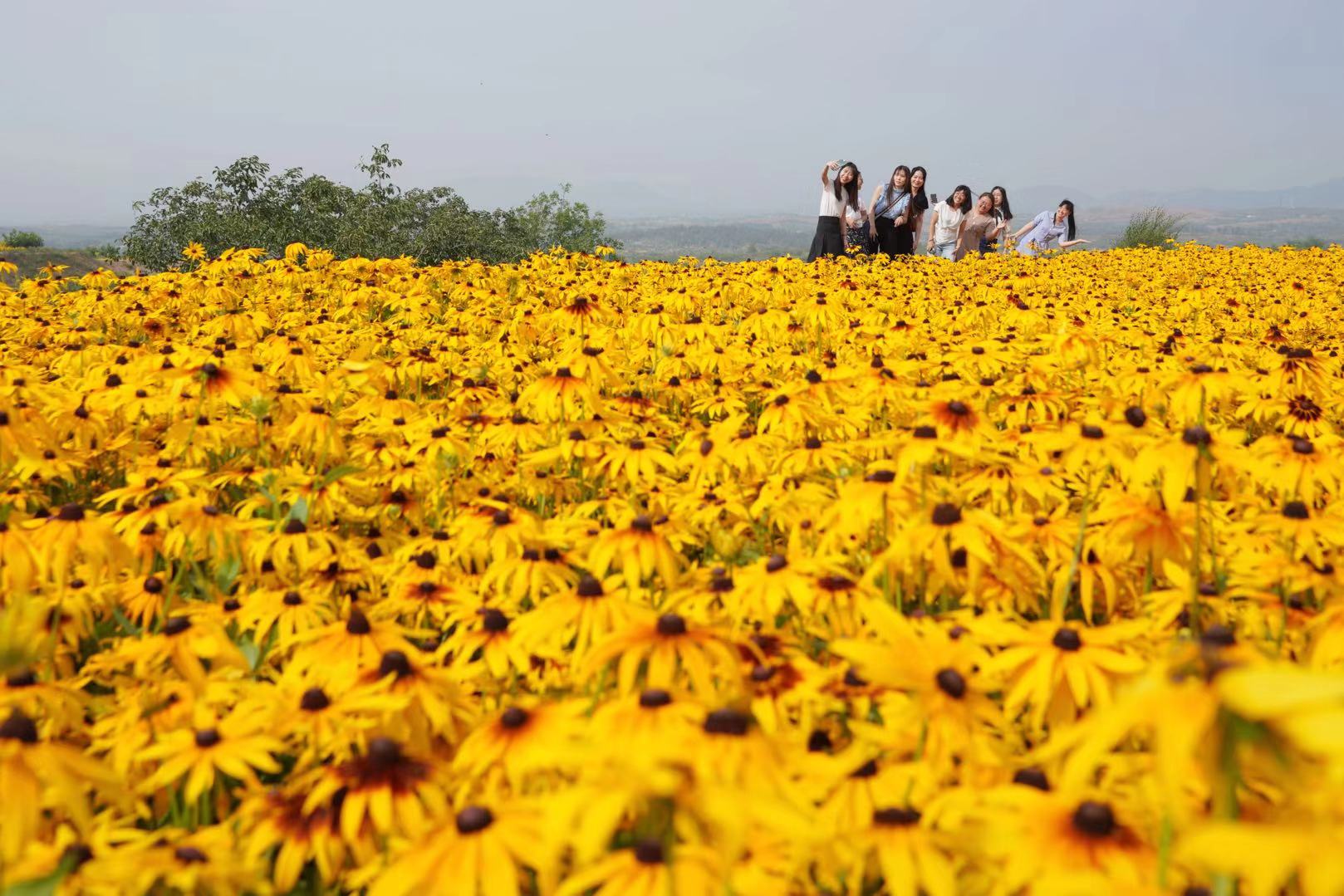 1630807023548594.jpg 1630807023548594.jpg