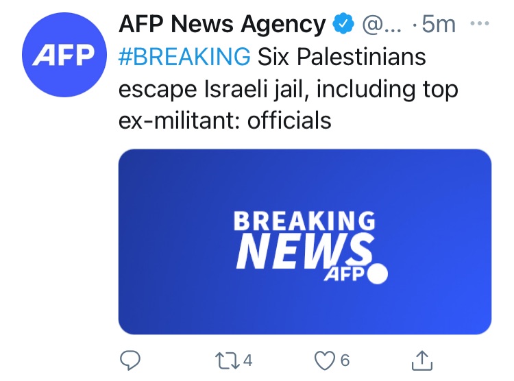 1630912759707430.jpg 1630912759707430.jpg