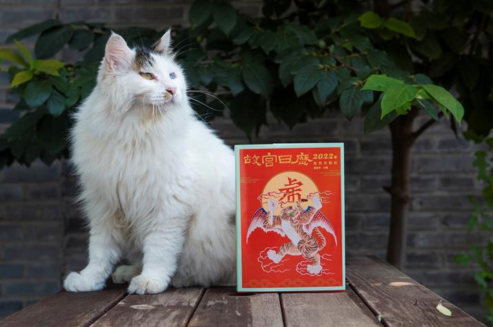 1630921016966276.jpg 1630921016966276.jpg