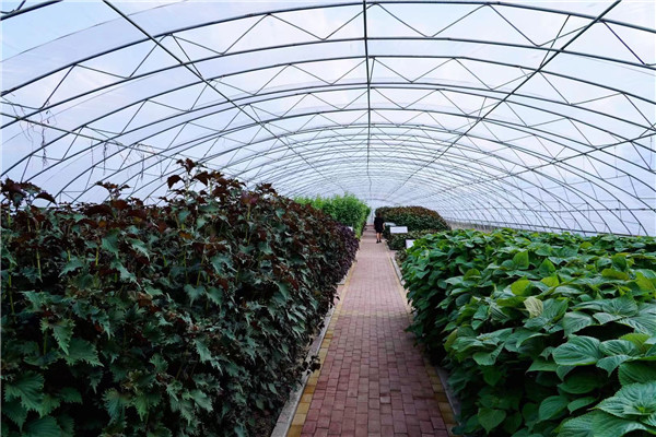 1630979447321658.jpg 2.jpg