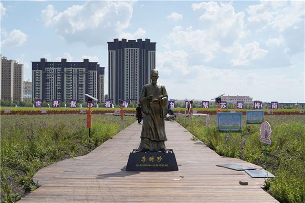 1630979481187820.jpg 4.jpg