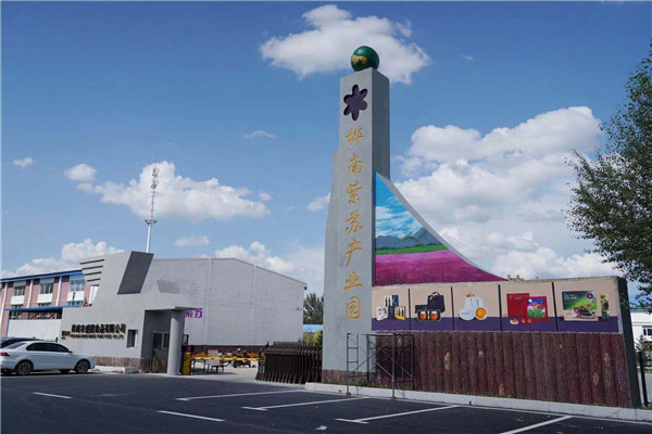 1630979558695970.jpg 9.jpg