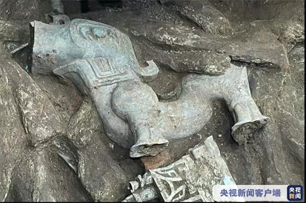 1631169469409939.jpg 4.jpg