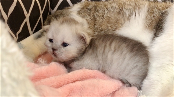 1631175756190346.jpg 2_副本1.jpg