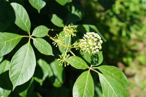 1631586477839077.jpg 8.jpg