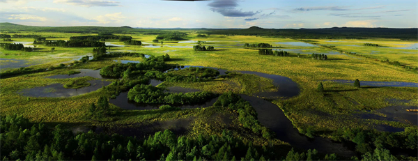 1631605715894803.jpg 1.jpg