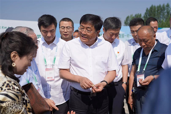 1631605741592652.jpg 5.jpg