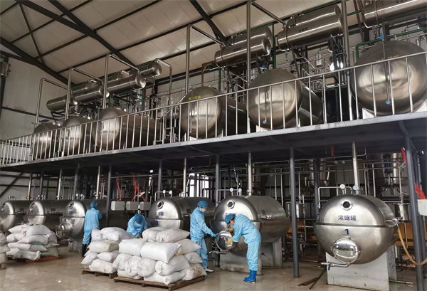 1631605763241999.jpg 9.jpg