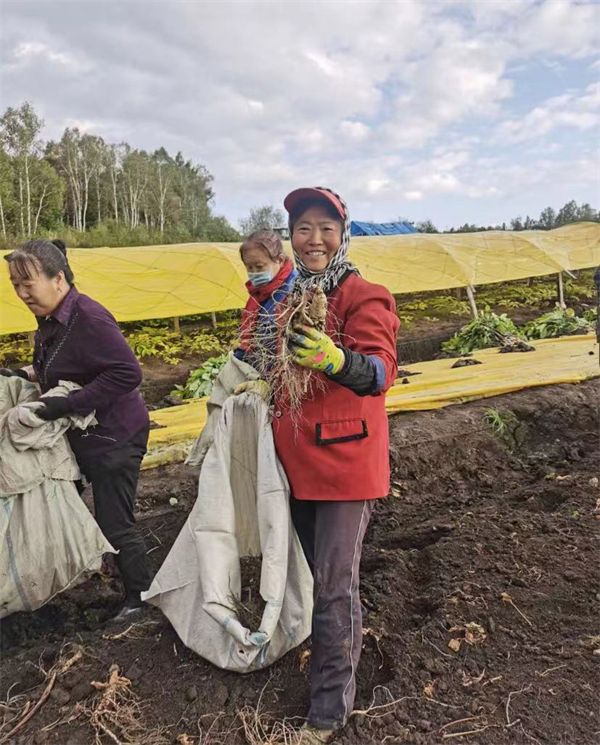 1631605769700366.jpg 10.jpg