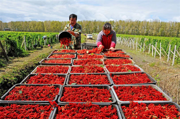 1631605796724963.jpg 13.jpg