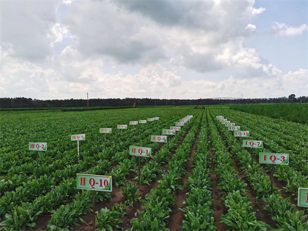 1631605805857786.jpg 14.jpg