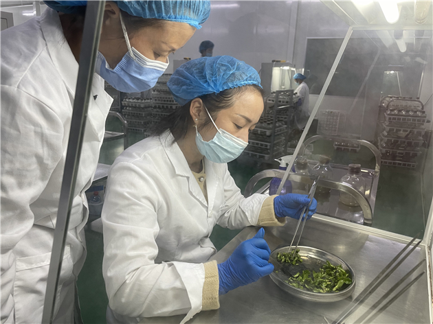 1633963889932886.jpg 2.jpg