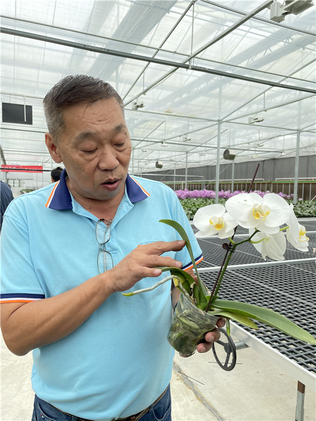 1633963949813949.jpg 3.jpg