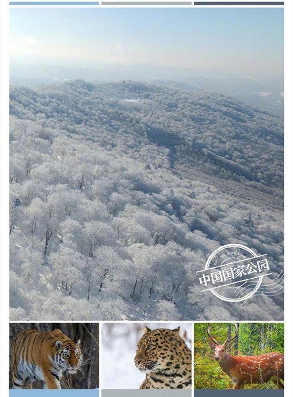 1634022517983795.jpg a3_副本.jpg