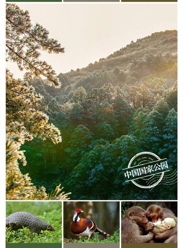 1634022546181449.jpg a5_副本.jpg