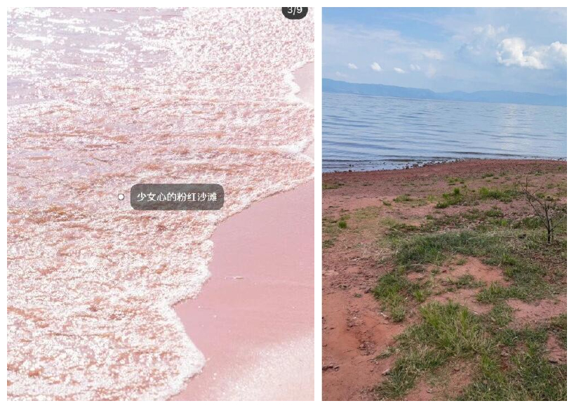 1634454598833202.jpg 1634454598833202.jpg