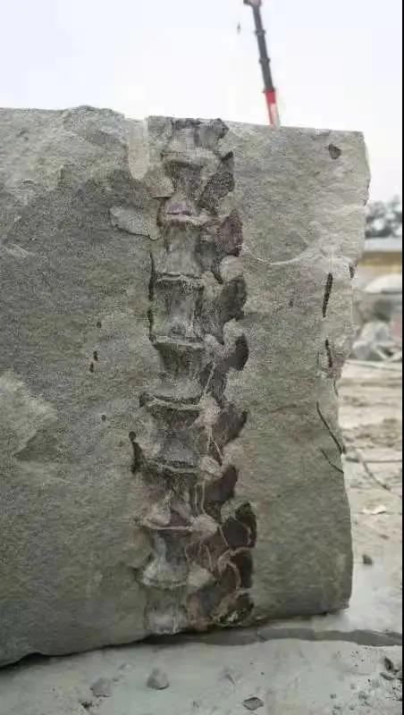 1635166199740796.jpg 微信圖片_20211025205152.jpg