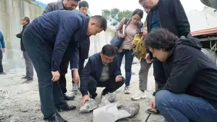 1635166213167307.jpg 1635166213167307.jpg