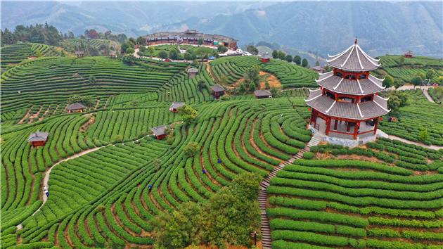 1635255918986551.jpg 2 (4).jpg