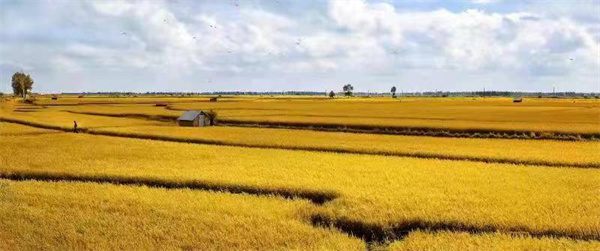 1635303804432885.jpg a1.jpg