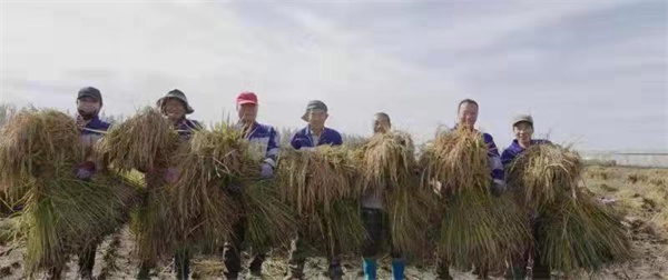 1635303827537791.jpg a2.jpg