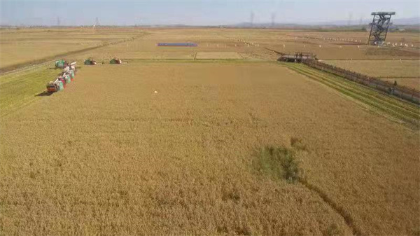 1635303844366828.jpg a3.jpg