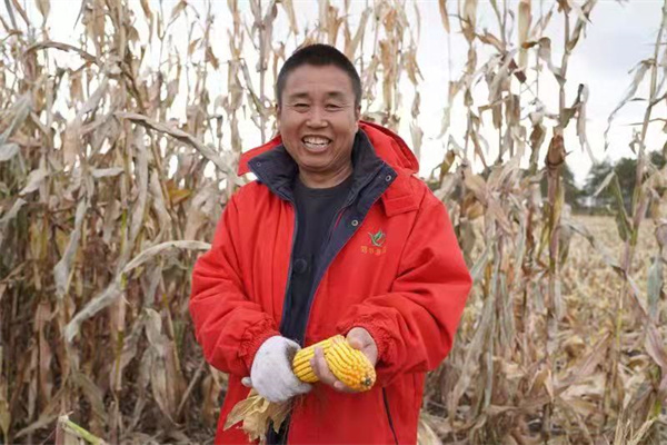 1635303876133717.jpg a5.jpg