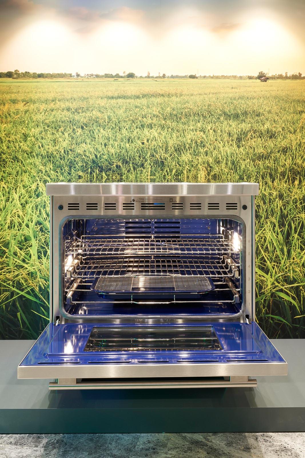 1635329509176015.jpg 1635329509176015.jpg