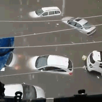 1635391042747267.gif 25.gif