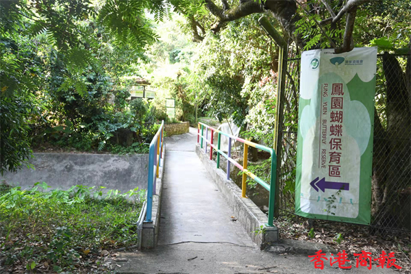 1635410949204245.jpg 3.jpg