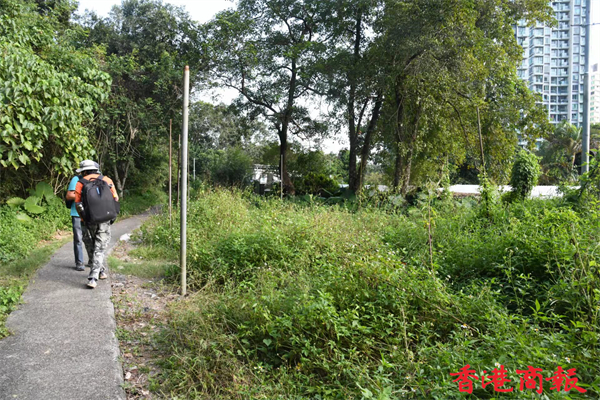 1635410957648016.jpg 4.jpg