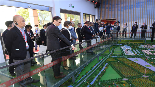 1635489196519687.jpg 4.jpg