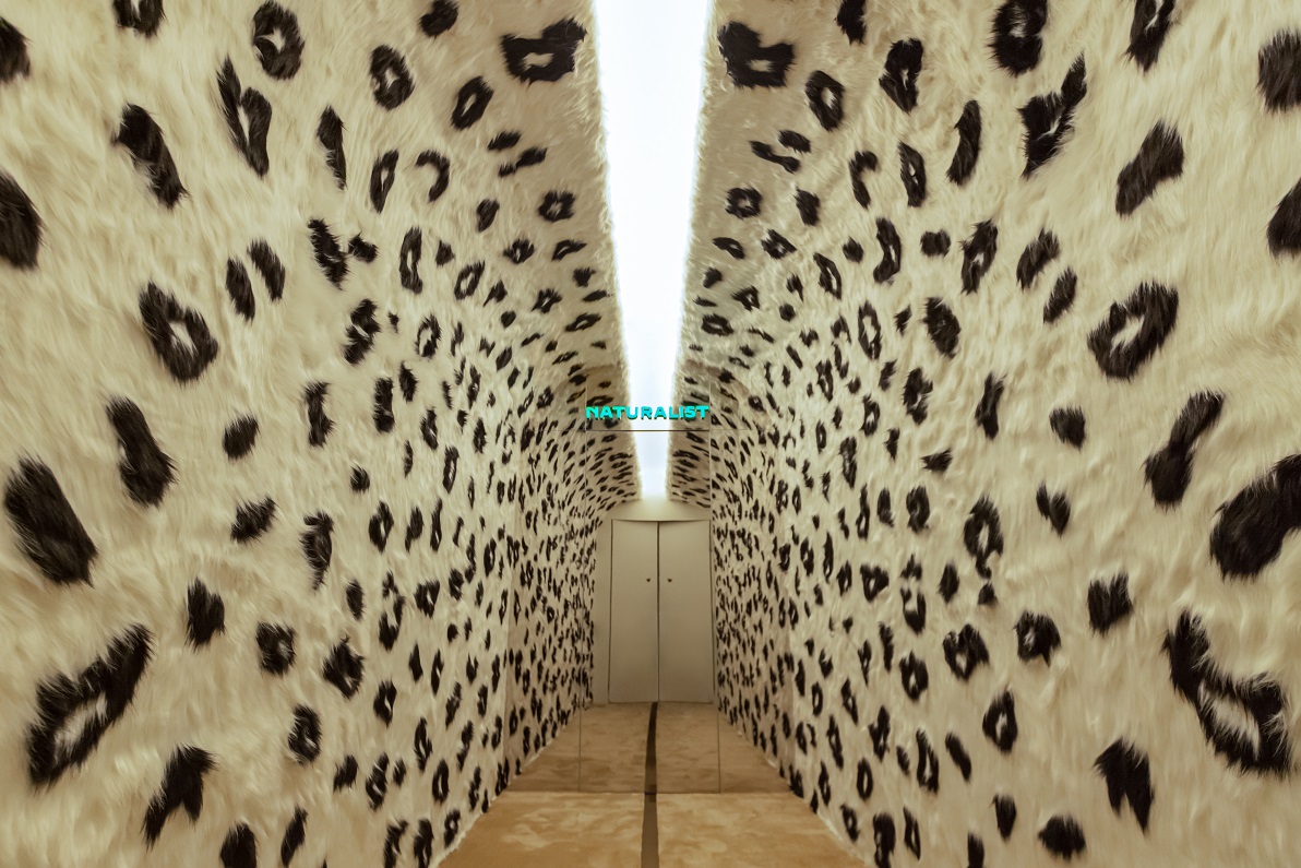 WeChat 圖片_20211110183244.jpg