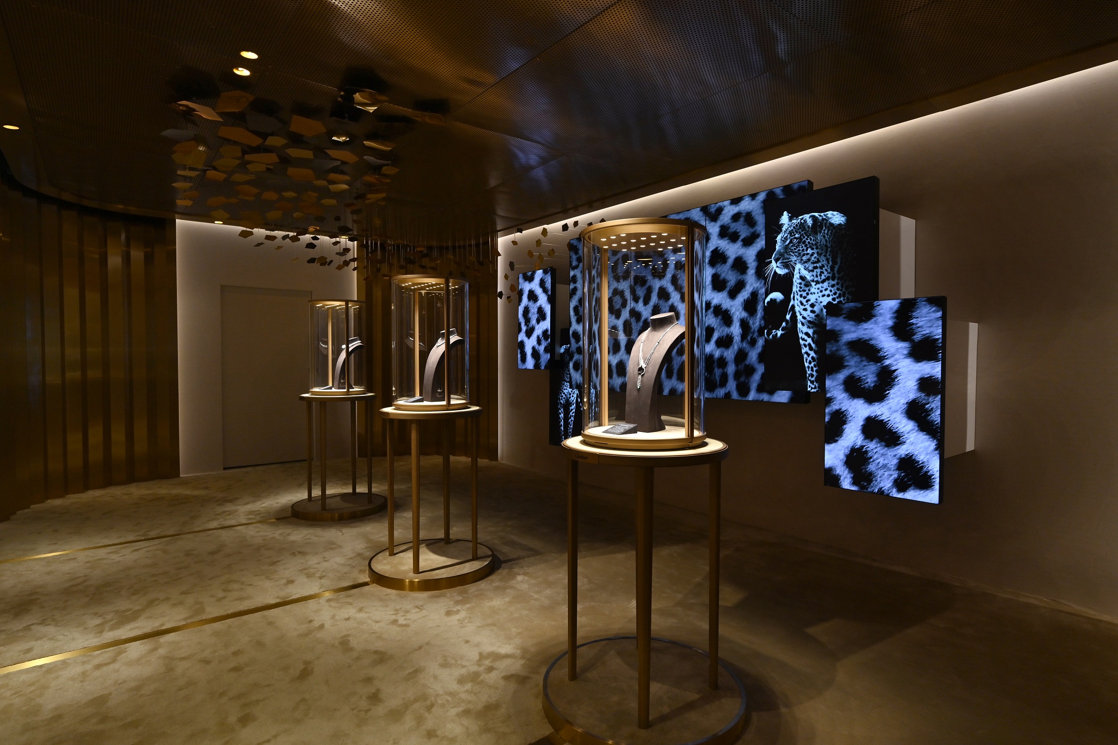 WeChat 圖片_20211110183252.jpg