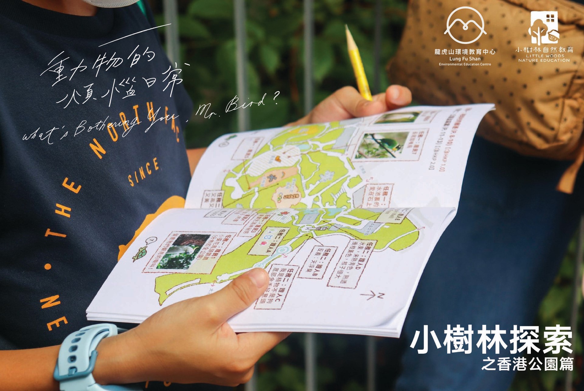 小樹林探索之香港公園篇.jpeg