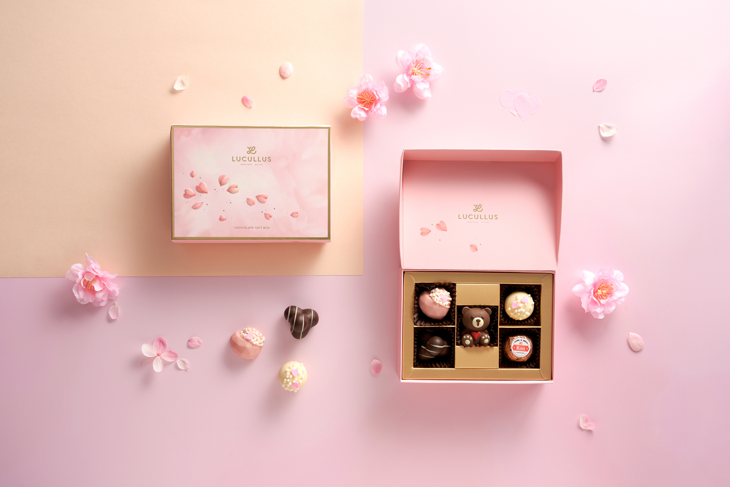 Chocolate Gift Box (5pcs).jpg