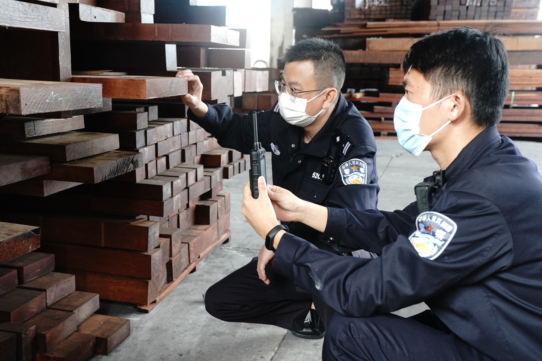 3、2021年11月，黃埔海關緝私局查獲一起低報價格走私進口木材案。（謝政攝影）.jpg