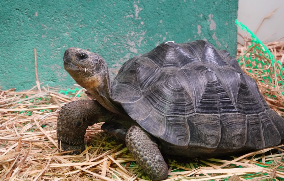 屏幕快照 2022-03-14 下午2.10.48.jpg