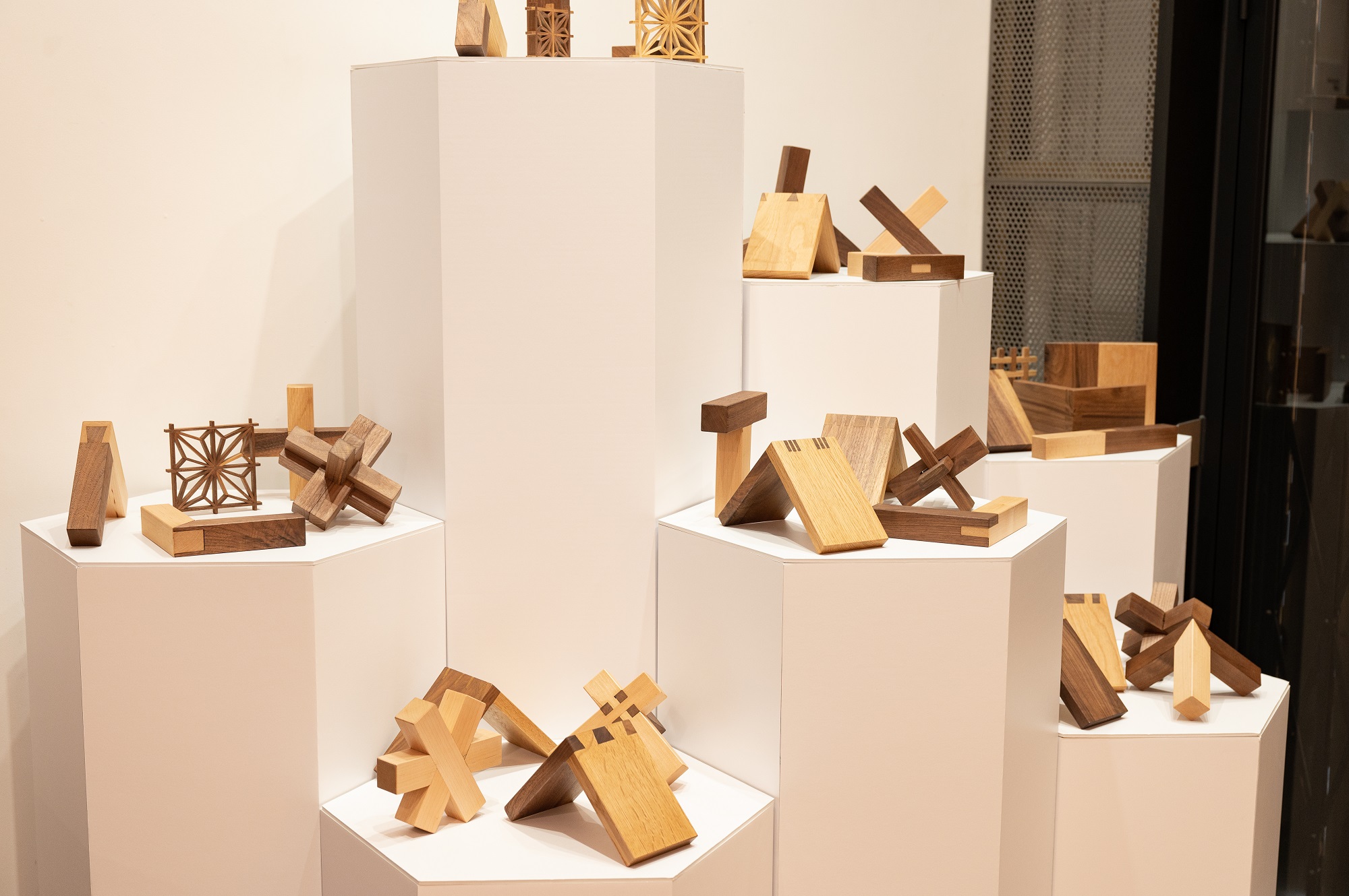 The Array of Joints_1.jpeg