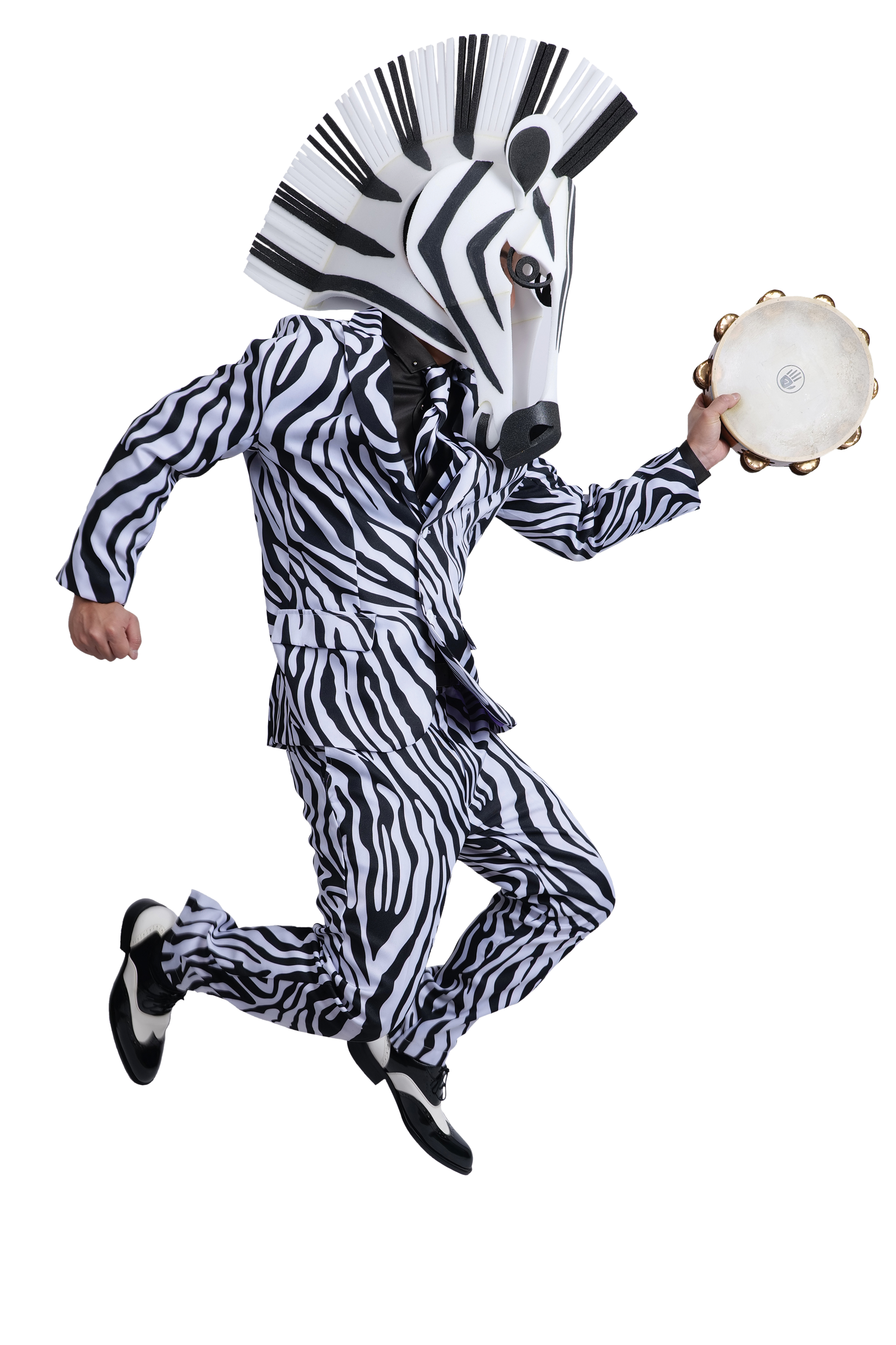 s2122 P1070478 zebra.jpg